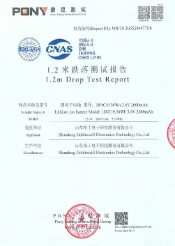 LFP26650 Low Temperature Type Certification