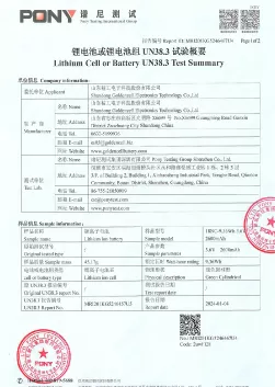 LFP26650 Low Temperature Type Certification