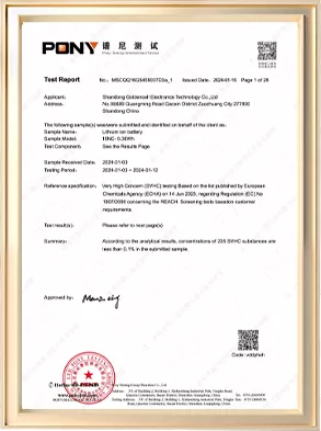 test report